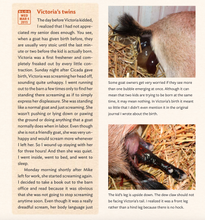 Load image into Gallery viewer, Goats Giving Birth